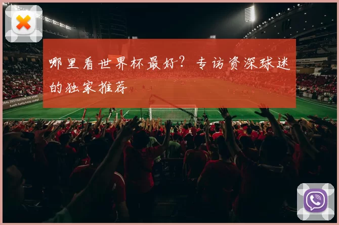 哪里看世界杯最好?专访资深球迷的独家推荐