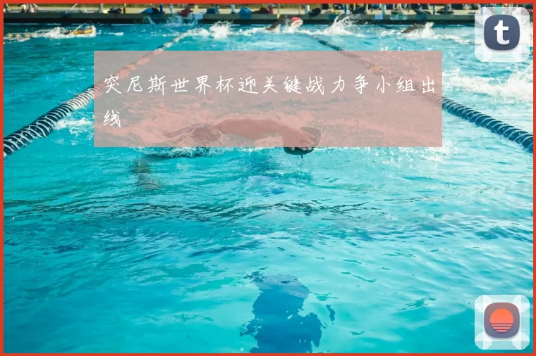 突尼斯世界杯迎关键战力争小组出线