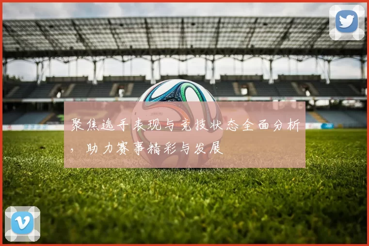 聚焦选手表现与竞技状态全面分析，助力赛事精彩与发展