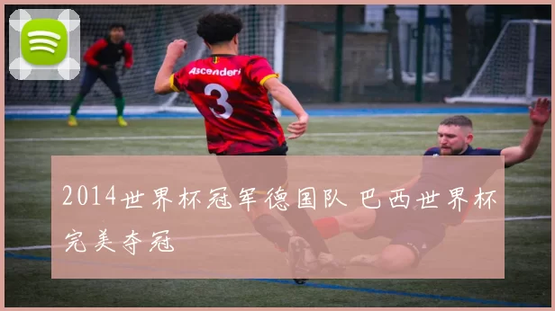 2014世界杯冠军德国队 巴西世界杯完美夺冠