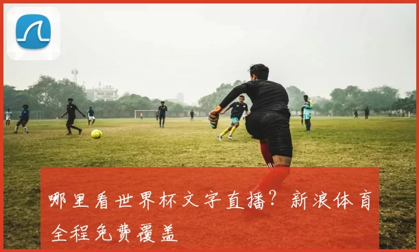 哪里看世界杯文字直播?新浪体育全程免费覆盖