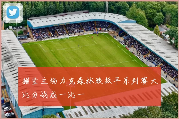 掘金主场力克森林狼扳平系列赛大比分战成一比一