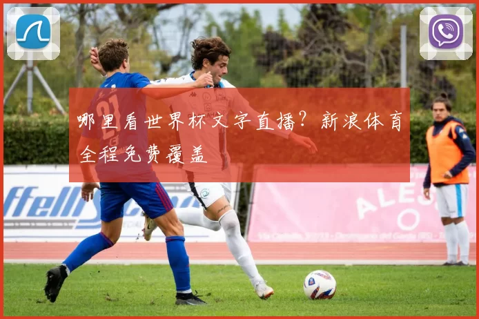 哪里看世界杯文字直播?新浪体育全程免费覆盖