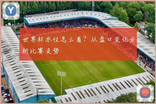 世界杯水位怎么看？从盘口变化分析比赛走势
