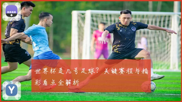 世界杯是几号足球?关键赛程与精彩看点全解析