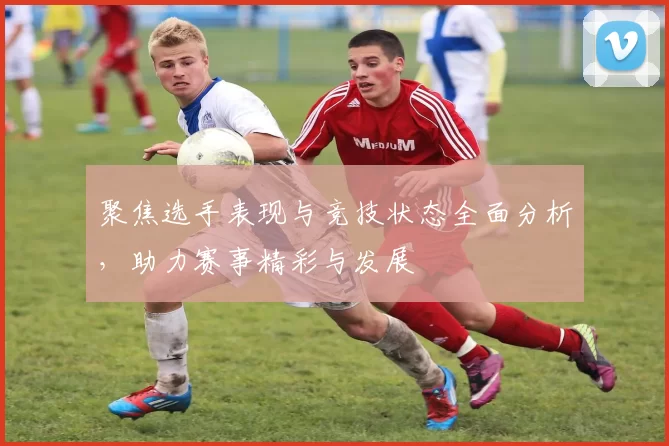 聚焦选手表现与竞技状态全面分析，助力赛事精彩与发展