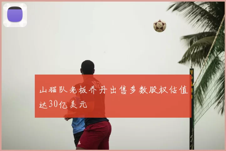山猫队老板乔丹出售多数股权估值达30亿美元