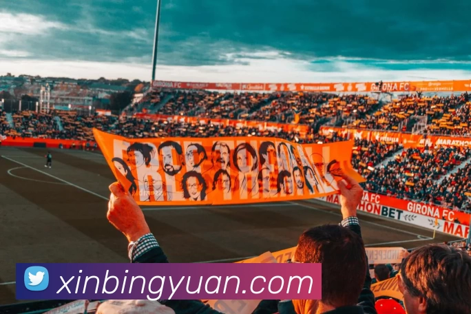 多媒体互动体验