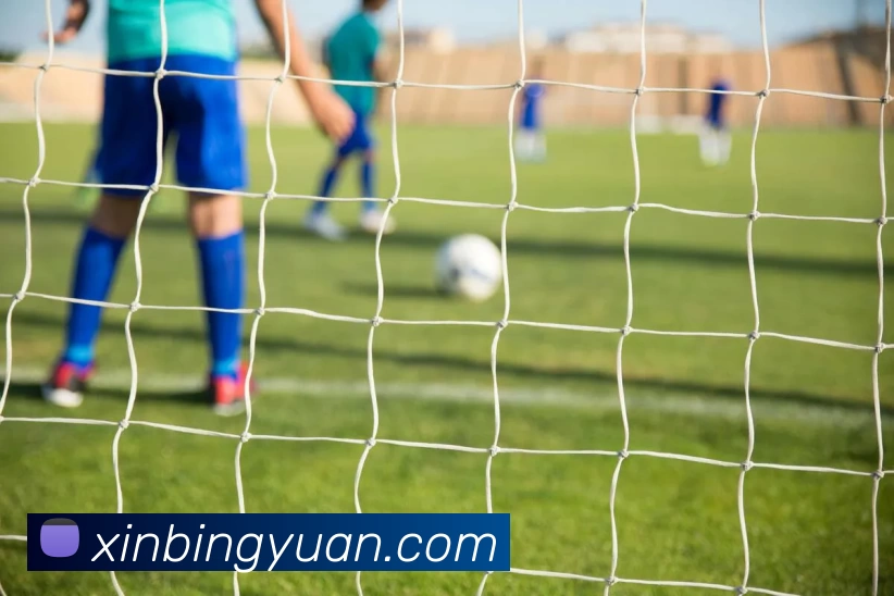 开云APP 高清赛事图